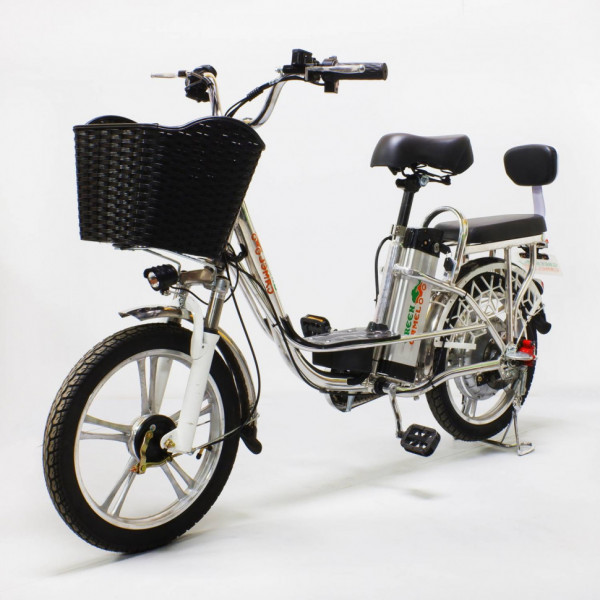 Электровелосипед GreenCamel Транк-18 V2 (R18 350W) алюмин, гидравлика