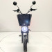 Электровелосипед GreenCamel Транк Монстр (R16FAT 500W 60V20Ah) гидравлика,DD