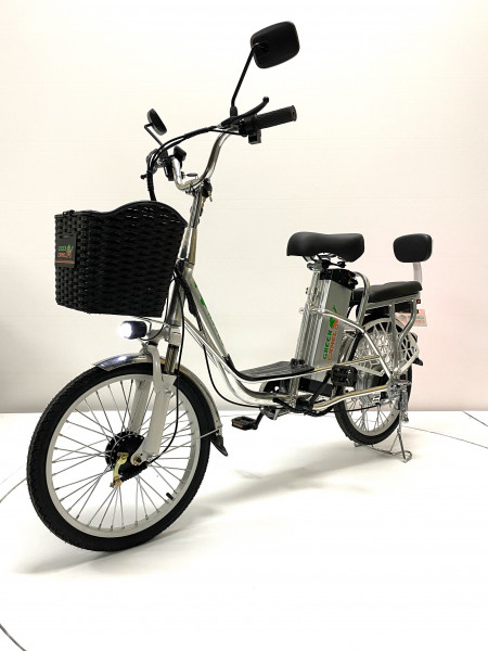 Электровелосипед GreenCamel Транк 20 V8 (R20 250W) алюм, DD