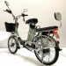 Электровелосипед GreenCamel Транк 20 V8 (R20 250W) алюм, DD