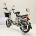 Электровелосипед GreenCamel Транк 18 V8 PRO (R18 250W) алюм, DD, гидравл, 2х подвес